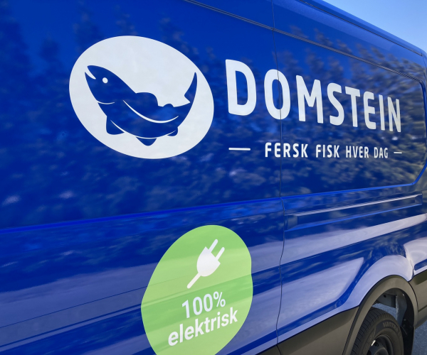 Domstein // Ford E-Transit 06.23